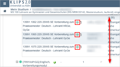 Section of the curriculum tree. The curriculum structure is expanded and shows the allocated courses for the practice semester of the subject German. The green registration arrows marking courses open for registration are highlighted.